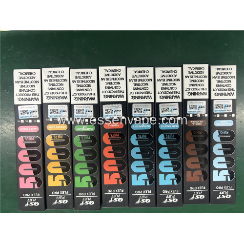Sweden Hot Sale Puff Flex 5000 Puffs Vape